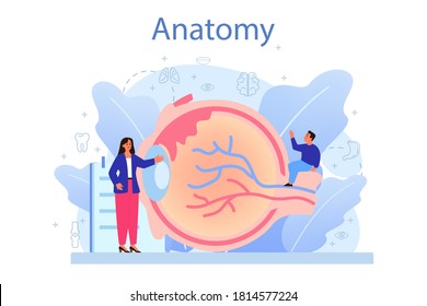 Anatomy school subject. Internal human organ studying. Anatomy and biology concept. Human body system. Liver and kidney, heart and stomach. Isolated flat vector illustration