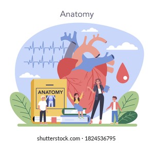 Anatomy school subject. Internal human organ studying. Anatomy and biology concept. Human body system. Isolated flat vector illustration