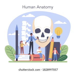 Anatomy school subject. Internal human organ studying. Anatomy and biology concept. Human body system. Isolated flat vector illustration