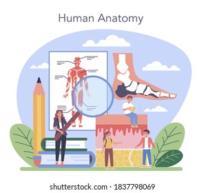Anatomy school subject. Internal human organ studying. Anatomy and biology concept. Human body system. Isolated flat vector illustration