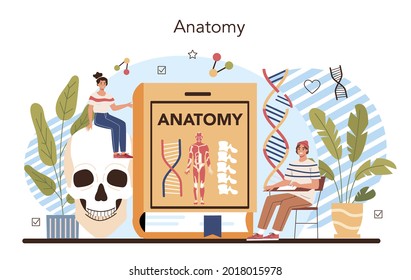 Anatomy school subject. Internal human organ studying. Anatomy and biology concept. Human body system. Liver and kidney, heart and stomach. Isolated flat vector illustration