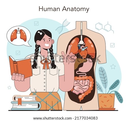 Anatomy school subject. Internal human organ studying. Biology classes, human body nervous, bone, muscle, blood systems learning. Flat vector illustration
