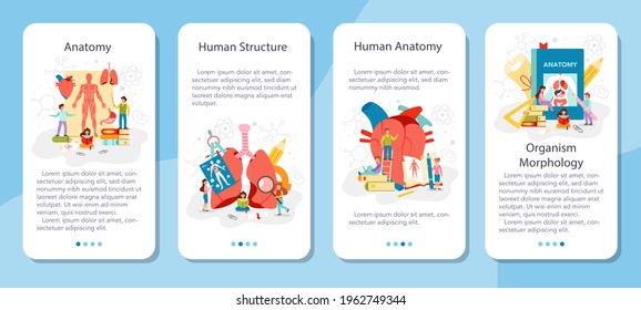 Anatomy School Fach mobile Applikation Banner Set. Internes menschliches Organ