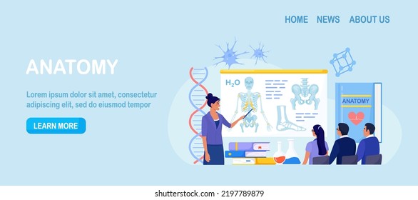 Anatomy school subject. Students studying internal human organ. Teacher pointing at chalkboard, teaching kids. People at desks learn human body nervous, bone, muscle, blood systems. Biology classes