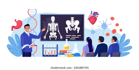 asignatura de la escuela de anatomía. Estudiantes estudiando esqueleto humano. Maestra apuntando a la pizarra, enseñando a la gente. Los alumnos aprenden nervioso, hueso, órganos, sistemas sanguíneos. Clases de biología, medicina