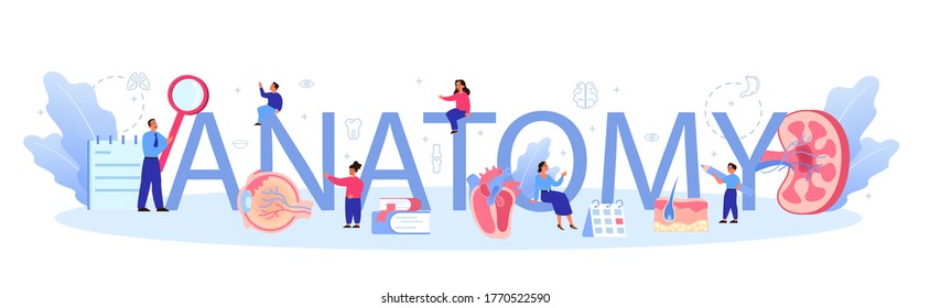 Anatomy school subject typographic header concept. Internal human organ studying. Anatomy and biology concept. Human body system. Liver and kidney, heart and stomach. Isolated flat vector illustration