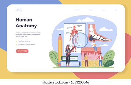 Anatomy school subject web banner or landing page. Internal human organ studying. Anatomy and biology concept. Human body system. Isolated flat vector illustration