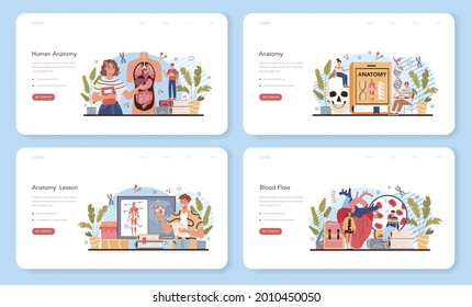 Anatomy school subject web banner or landing page set. Internal human organ studying. Anatomy and biology concept. Human body system. Liver and kidney, heart and stomach. Flat vector illustration