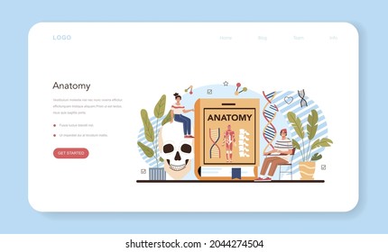 Anatomy school subject web banner or landing page. Internal human organ studying. Anatomy and biology concept. Human body system. Liver and kidney, heart and stomach. Flat vector illustration