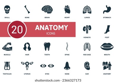 Anatomie-Set. Kreative Symbole: Schädel, Knochen, Gehirn, Herz, Lungen, Magen, Nieren, Fuß, Muskel, Haare, Zahn, Wirbelsäule, Rippenkäfig, Mund, Hoden, Uterus, Augen, Nase, Ohr.