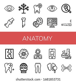 anatomy simple icons set. Contains such icons as Eye, Joint, Phylogenetics, Bone, Tooth, Brain, Ear, X ray, Healthy tooth, Skull, Human organs, can be used for web, mobile and logo