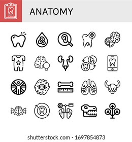 anatomy simple icons set. Contains such icons as Dental record, Tooth, Erythrocytes, Ear, Brain, Body, Urinary tract, Vitruvian man, Bone, can be used for web, mobile and logo