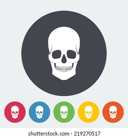 Anatomy skull. Single flat icon on the circle. Vector illustration.