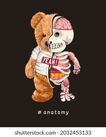 Anatomy Slogan With Bear Doll Half Skeleton With Internal Organs Vector Illustration 