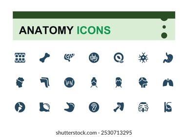 Conjunto de ícones sólidos de anatomia. Relacionado a olho, nariz, boca, ouvido, cérebro, cabeça, fígado e muito mais. Parte do corpo humano de estilo preenchido e coleção de ícones de vetor de órgãos. Editável e pixel perfeito.