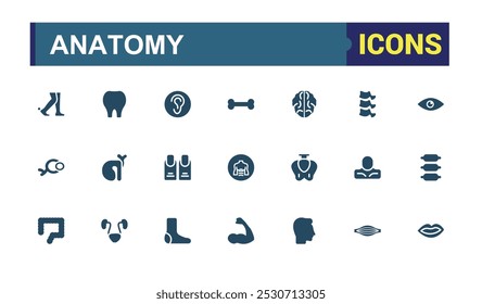 Anatomy solid icons set. Related to eye, nose, mouth, ear, brain, head, liver and more. Filled style human body part and organs vector icons collection. Editable and pixel perfect.