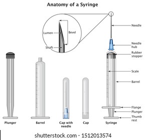Anatomy Of Syringe With Label Barrel Plunger Cap Needle Rubber stopper Education Vector Illustration