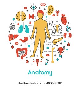 Anatomy Thin Line Vector Icons Set with Human and Internal Organs