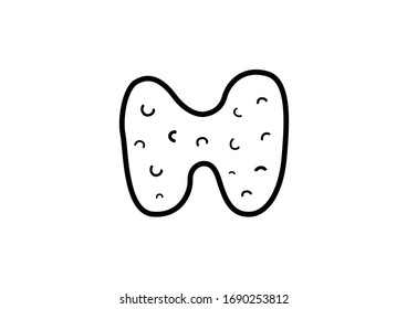 Anatomy Thyroid Gland Thyroid Human Thyroid Stock Vector (Royalty Free ...