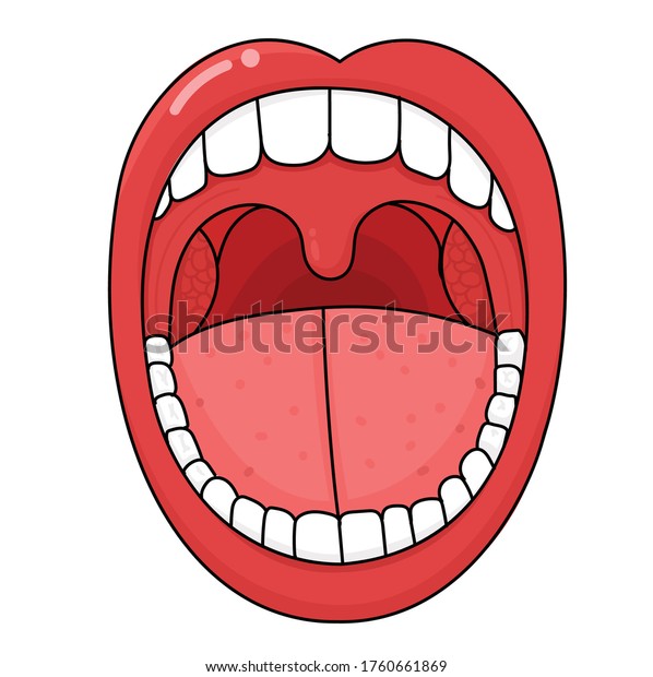 Anatomy Tonsils Body Human Stock Vector (Royalty Free) 1760661869 ...