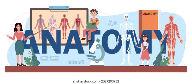 Anatomy typographic header. Internal human organ studying. Anatomy and biology school subject. Human body systems. Isolated flat vector illustration