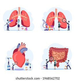 Concepto de vector anatomía. Grupo de científicos haciendo anatomía e investigación del corazón humano.