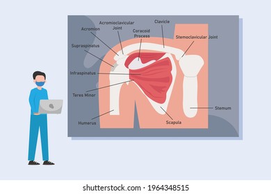 Anatomy vector concept: Male doctor analyzing arm anatomy with laptop while wearing face mask