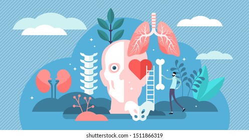 Anatomy Vector Illustration Flat Tiny Body Stock Vector (Royalty Free ...