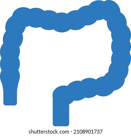anatomy Vector illustration on a transparent background. Premium quality symbols. Glyphs  vector icon for concept and graphic design.