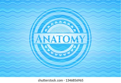 Anatomy water emblem background.