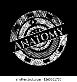Anatomy written with chalkboard texture