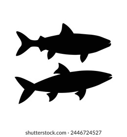 Anchovy fish silhouette isolated on white