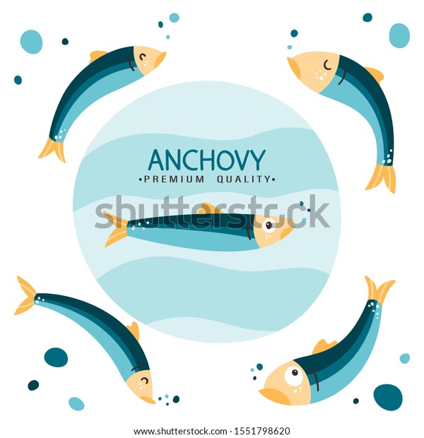 アンチョビ魚のベクターイラスト 小型の刺身 ペルー人のアンチョビ おいしい 魚介類健康食 カリフォルニアアンチョビ のベクター画像素材 ロイヤリティフリー