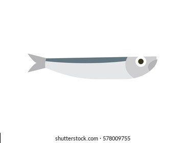 Anchovy isolated. small fish on white background
