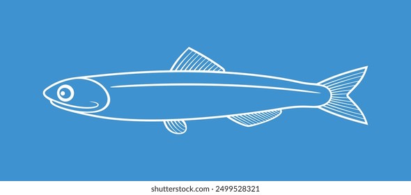 Anchovy outline. Isolated anchovy on white background