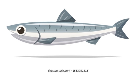 Anchovy vector isolated illustration design