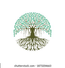 Ancient banyan tree. Abstract tree logo with circular shape. green spring tree with leaves, wood and roots on white background, vector, Abstract  and Unique Tree Vector illustration 