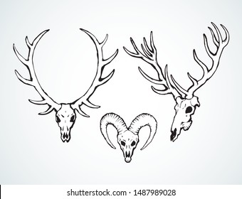 Ancient big domestic horny buck antler beast muzzle on white background. Freehand line black ink hand drawn old elk decor pictogram sketchy in antique doodle art etch style pen on paper space for text