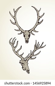 Ancient big horny roe ox muzzle on white backdrop. Freehand line black ink hand drawn decor logotype sketchy in antique scribble art engraving print style pen on paper. Close-up with space for text