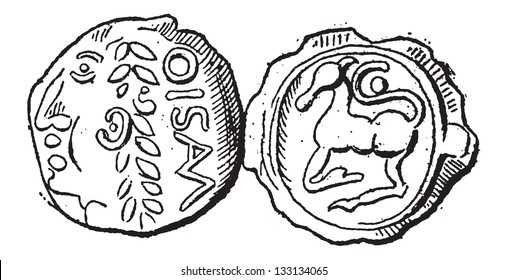 Ancient Celtic Gold Coin of Santones, showing Head (front) and Horse (back), vintage engraved illustration. Dictionary of Words and Things - Larive and Fleury - 1895