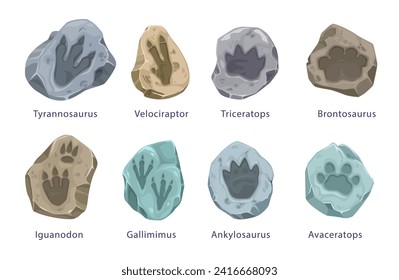 Ancient dinosaur footprints, fossil. Vector tyrannosaurus, velociraptor, triceratops and brontosaurus. Iguanodon, gallimimus, ankylosaurus or avaceratops reptile isolated paw prints in stone pieces