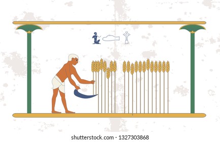 Ancient egypt background. A man reaps a wheat crop on the field. Historical background. Ancient people