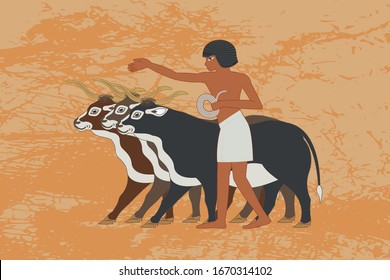 Ancient Egypt. Egyptian gods and pharaohs. Hieroglyphic carvings, frescoes, mythological scenes. Egypt background, vector illustration.