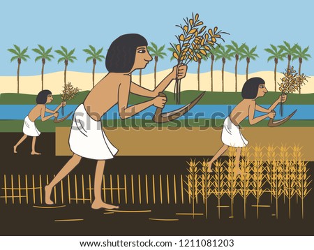 ancient egyptian peasants harvest on the Nile bank, colorful vector cartoon illustration of first farmers Stock photo © 
