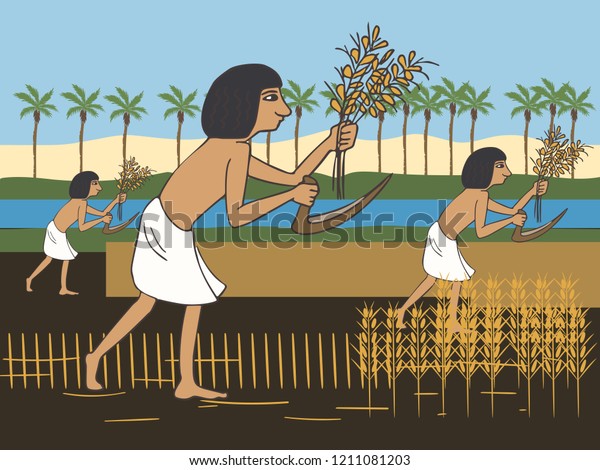 ナイル川の岸で古代エジプトの農民が収穫する 初めての農民のカラフルなベクターイラスト のベクター画像素材 ロイヤリティフリー