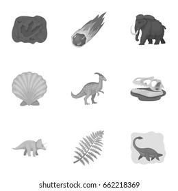 Ancient extinct animals and their tracks and remains. Dinosaurs, tyrannosaurs, pnictosaurs.Dinisaurs and prehistorical icon in set collection on monochrome style vector symbol stock illustration.