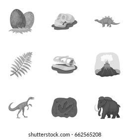 Ancient extinct animals and their tracks and remains. Dinosaurs, tyrannosaurs, pnictosaurs.Dinisaurs and prehistorical icon in set collection on monochrome style vector symbol stock illustration.