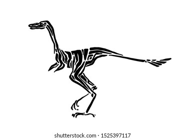 Ancient extinct jurassic coelophysis dinosaur vector illustration ink painted, hand drawn grunge prehistoric reptile, black isolated silhouette on white background.