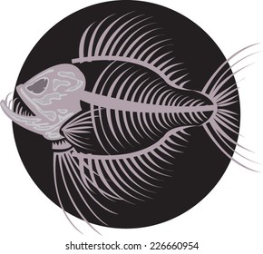 ancient fish bones