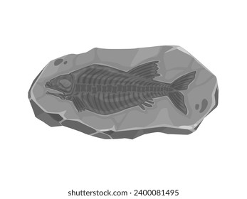 Ancient fish fossil imprint in stone. Prehistoric era aquatic life stone fossil, ocean, sea or river fish skeleton bones archaeological find, paleontology science animal body rock imprint